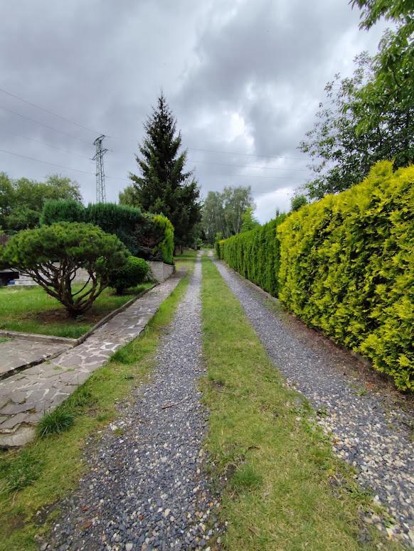 Apartman Terezka Jílové Exterior foto