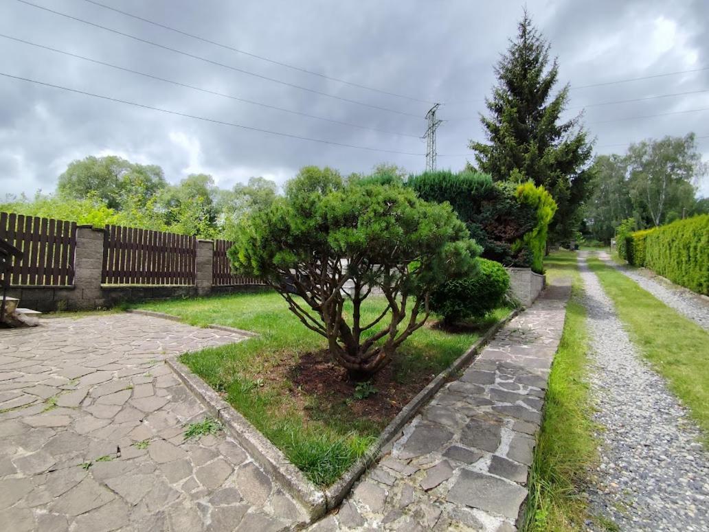 Apartman Terezka Jílové Exterior foto